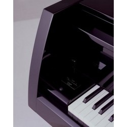 PIANO A QUEUE SAUTER Peter Maly VIVACE 210 cm/Noir Poli/OFFRE PROMOTIONELLE ?