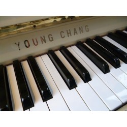 Piano Droit YOUNG-CHANG U-118 Ivoire brillant
