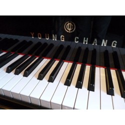 PIANO A QUEUE YOUNG-CHANG G-157 Noir Brillant