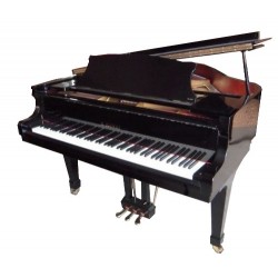 Kawai kg1 sales