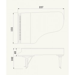 PIANO A QUEUE YAMAHA C7X 2m27 Noir Brillant 