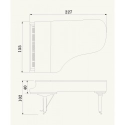 PIANO A QUEUE YAMAHA DISKLAVIER/SILENT DC7XE3 PRO 2m27 Noir Poli 