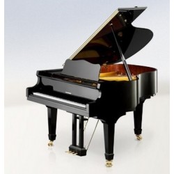 PIANO A QUEUE W.HOFFMANN Vision V158 Noir Brillant