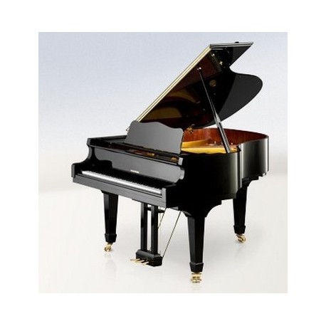 PIANO A QUEUE W.HOFFMANN Vision V158 Noir Brillant