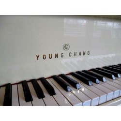 PIANO A QUEUE YOUNG CHANG G-157 Ivoire Brillant