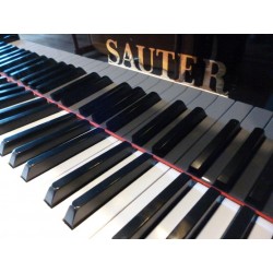 PIANO A QUEUE SAUTER Delta 182cm Noir poli 