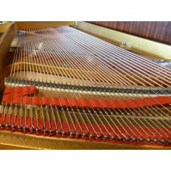 PIANO A QUEUE PLEYEL by SCHIMMEL Vendôme 174 Noir Brillant