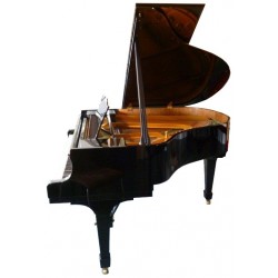 PIANO A QUEUE STEINWAY & SONS model S 155 cm Noir Poli