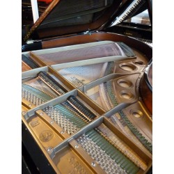 PIANO A QUEUE C.BECHSTEIN M 180 Noir brillant 