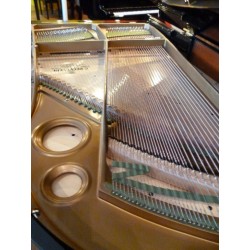 PIANO A QUEUE C.BECHSTEIN M 180 Noir brillant 