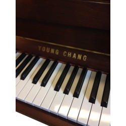 Piano Droit YOUNG CHANG EC-109 Noyer brillant