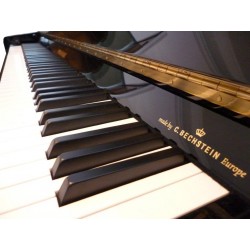 Piano Droit W.HOFFMANN Vision V120 Noir Brillant //RECENT//