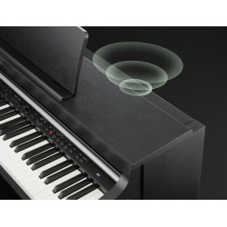 PIANO NUMERIQUE KAWAI CN35 Noir,Blanc et Palissandre