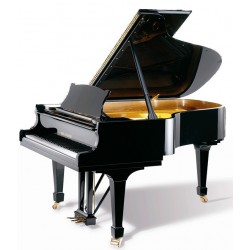 PIANO A QUEUE WILH.STEINBERG SIGNATURE 188 Noir Brillant