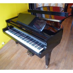 PIANO A QUEUE SEILER MAESTRO Noir brillant  1m80