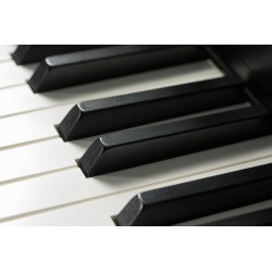 PIANO NUMERIQUE KAWAI CA67 Noir,Blanc et Palissandre