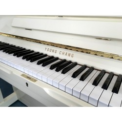 Piano Droit YOUNG-CHANG U-118 Ivoire Brillant